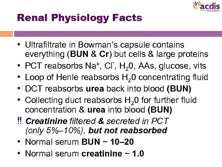 Renal Physiology Facts • Ultrafiltrate in Bowman’s capsule contains • • ‼ • •