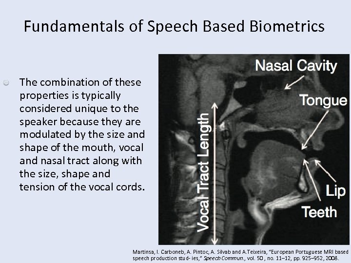 Fundamentals of Speech Based Biometrics The combination of these properties is typically considered unique