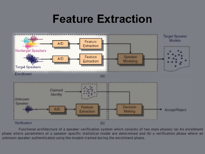 Feature Extraction 