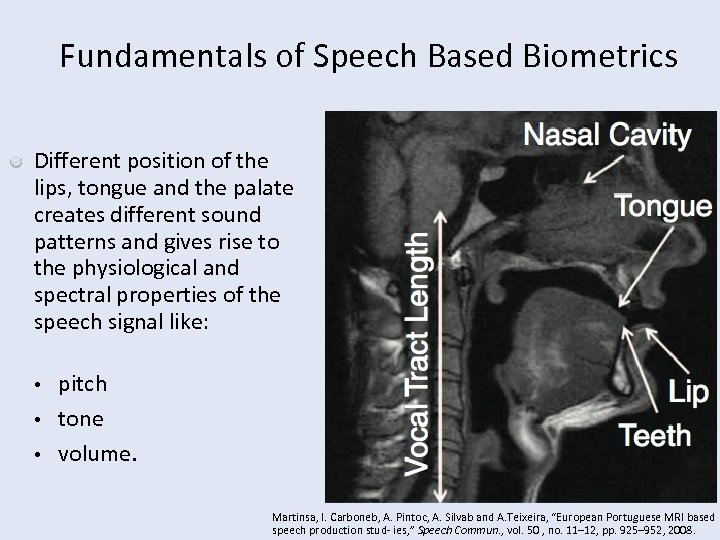 Fundamentals of Speech Based Biometrics Different position of the lips, tongue and the palate