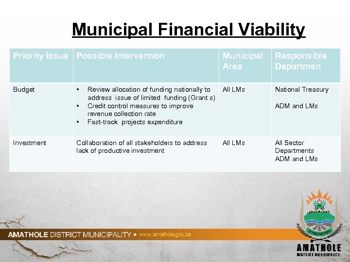 Municipal Financial Viability Priority Issue Possible Intervention Budget • • • Investment Review allocation