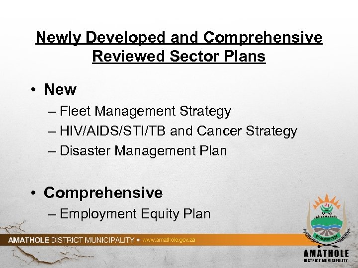 Newly Developed and Comprehensive Reviewed Sector Plans • New – Fleet Management Strategy –