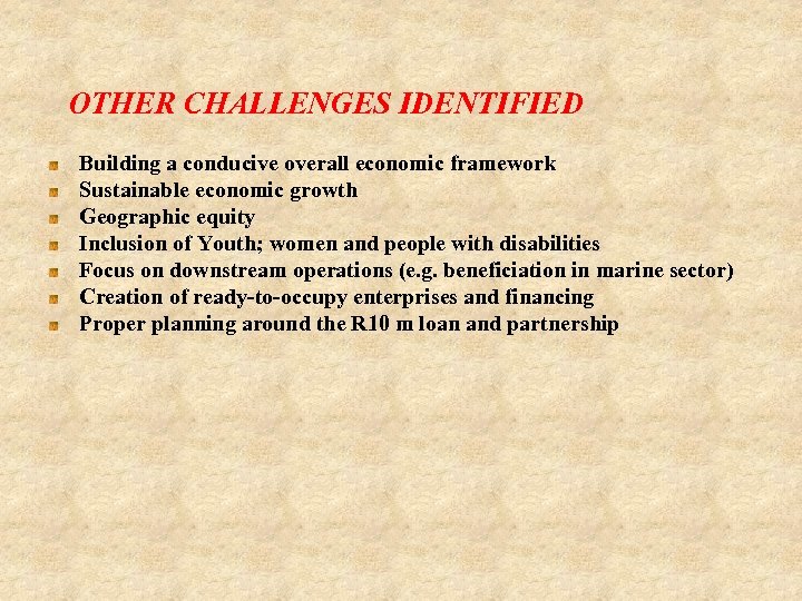 OTHER CHALLENGES IDENTIFIED Building a conducive overall economic framework Sustainable economic growth Geographic equity