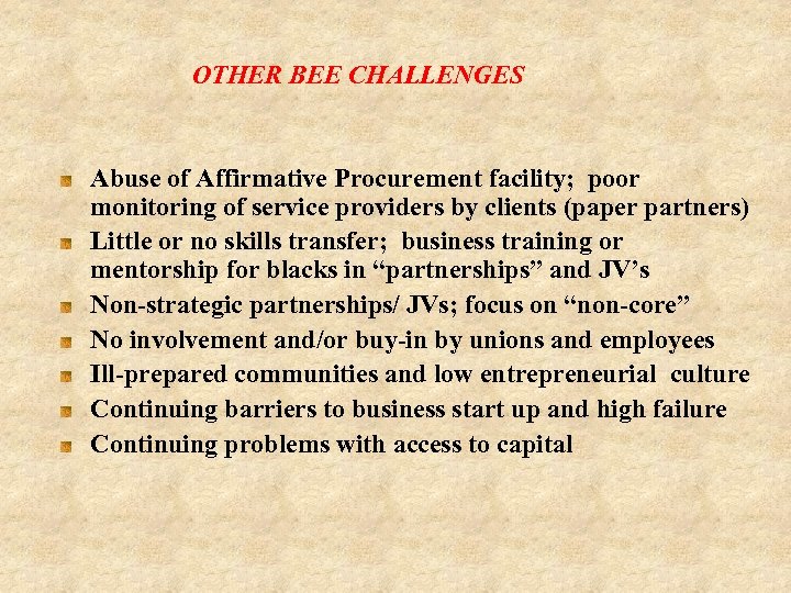 OTHER BEE CHALLENGES Abuse of Affirmative Procurement facility; poor monitoring of service providers by