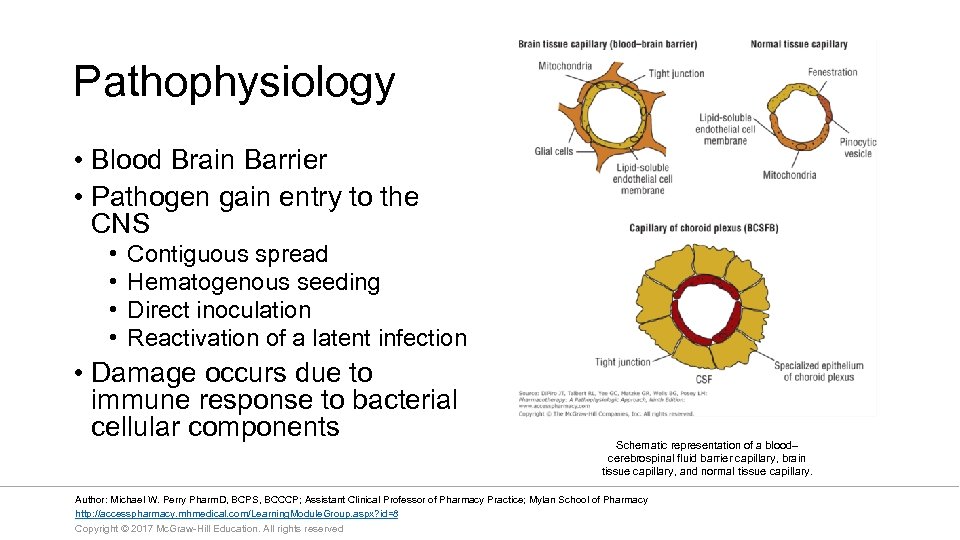 Pathophysiology • Blood Brain Barrier • Pathogen gain entry to the CNS • •
