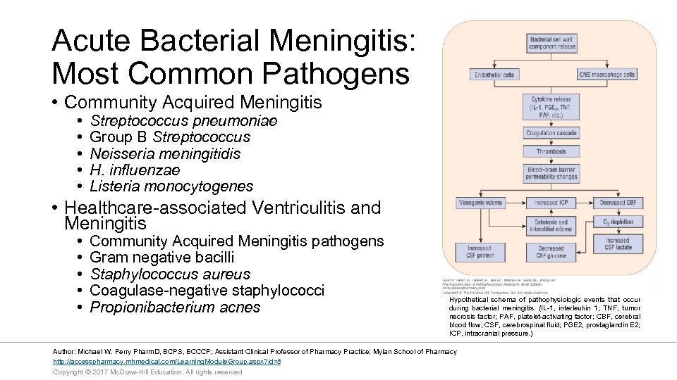 Acute Bacterial Meningitis: Most Common Pathogens • Community Acquired Meningitis • • • Streptococcus