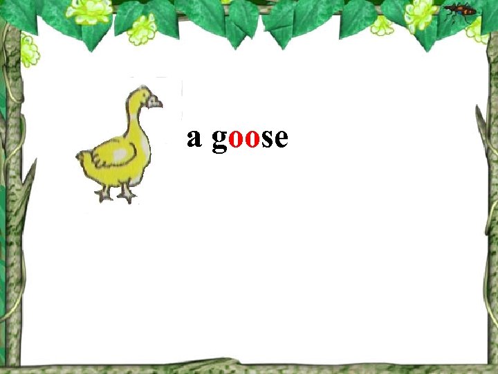 a goose 