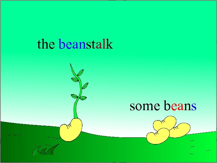 the beanstalk some beans 