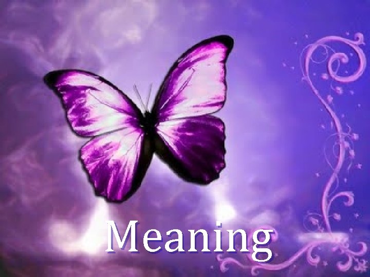 Meaning 