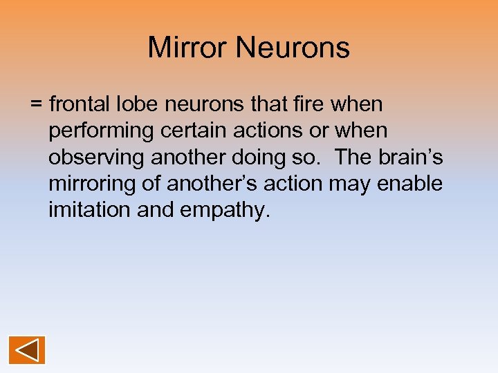 Mirror Neurons = frontal lobe neurons that fire when performing certain actions or when