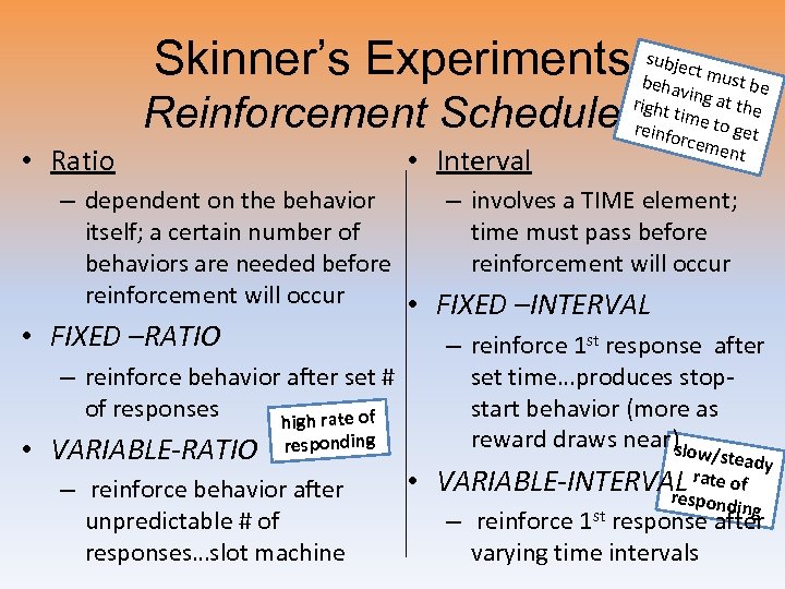 Skinner’s Experiments bseuhbajevct must be i right ng at the tim reinfo e to