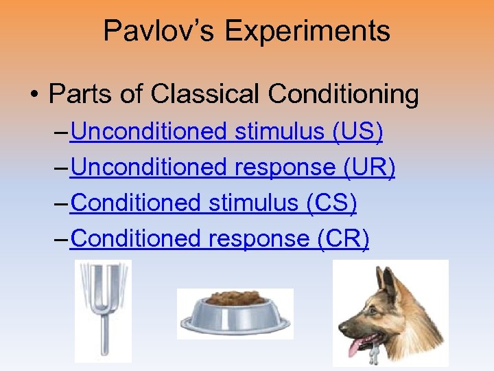 Pavlov’s Experiments • Parts of Classical Conditioning – Unconditioned stimulus (US) – Unconditioned response