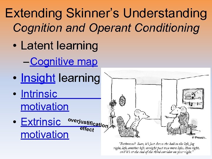 Extending Skinner’s Understanding Cognition and Operant Conditioning • Latent learning – Cognitive map •