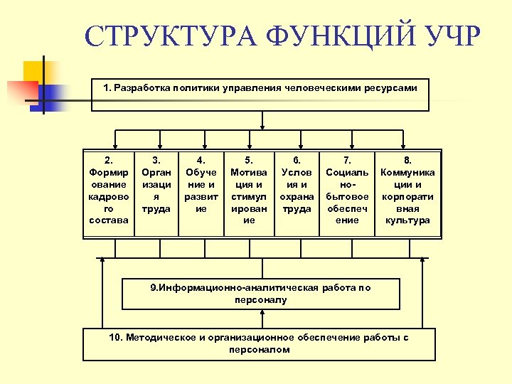 Какова структура функции. Система управления человеческими ресурсами в организации. Структура управления человеческими ресурсами в организации. Организационная структура управления человеческими ресурсами схема. Схема функции управления человеческими ресурсами организации.