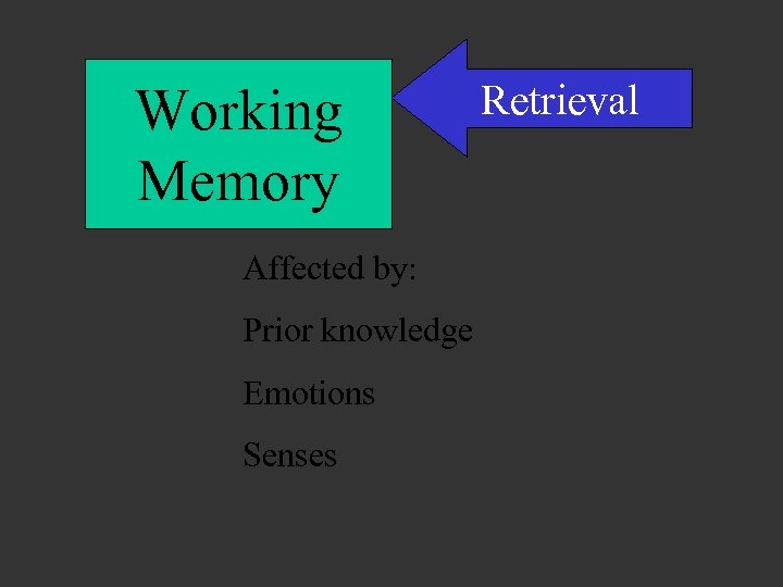 Working Memory Affected by: Prior knowledge Emotions Senses Retrieval 