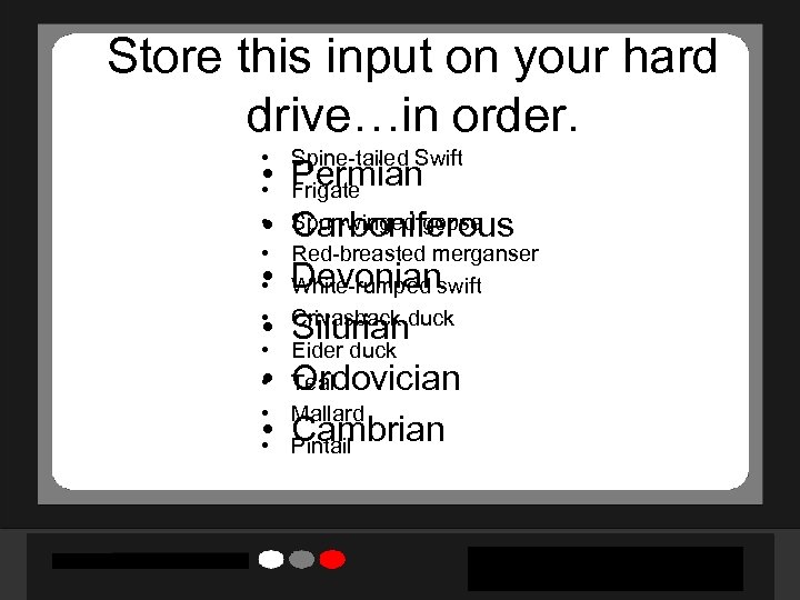 Store this input on your hard drive…in order. • • • • Spine-tailed Swift