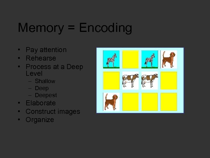 Memory = Encoding • Pay attention • Rehearse • Process at a Deep Level