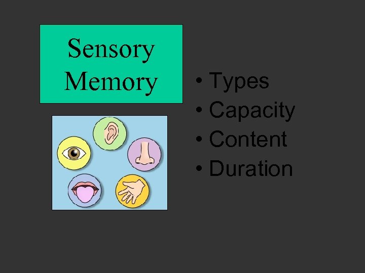 Sensory Memory • Types • Capacity • Content • Duration 