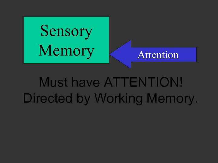 Sensory Memory Attention Must have ATTENTION! Directed by Working Memory. 