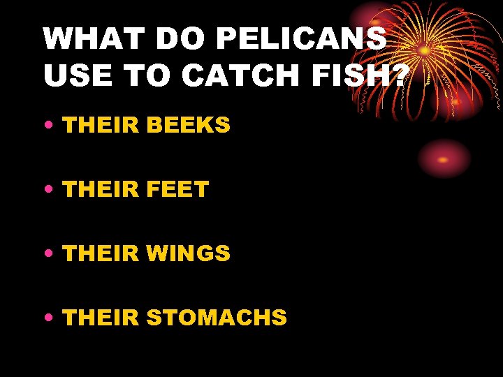 WHAT DO PELICANS USE TO CATCH FISH? • THEIR BEEKS • THEIR FEET •
