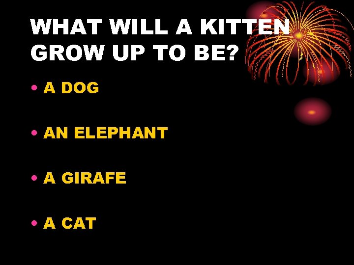 WHAT WILL A KITTEN GROW UP TO BE? • A DOG • AN ELEPHANT