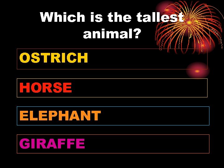 Which is the tallest animal? OSTRICH HORSE ELEPHANT GIRAFFE 