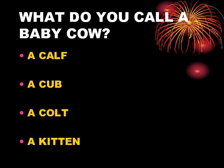 WHAT DO YOU CALL A BABY COW? • A CALF • A CUB •