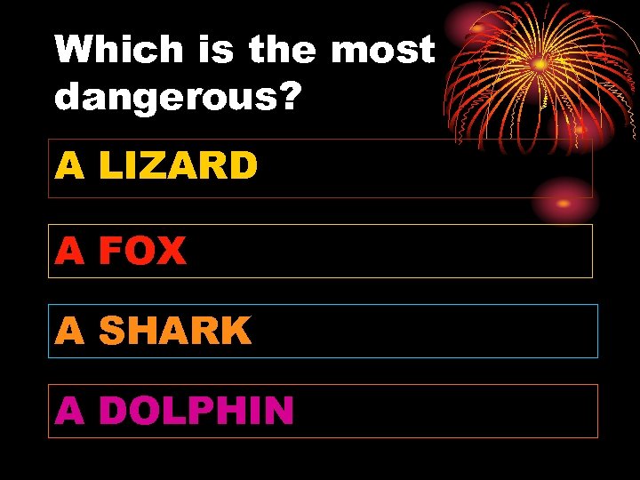 Which is the most dangerous? A LIZARD A FOX A SHARK A DOLPHIN 