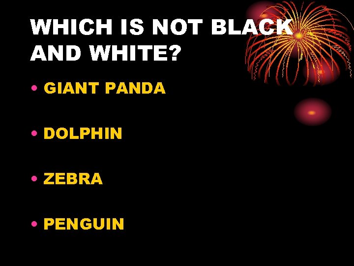 WHICH IS NOT BLACK AND WHITE? • GIANT PANDA • DOLPHIN • ZEBRA •