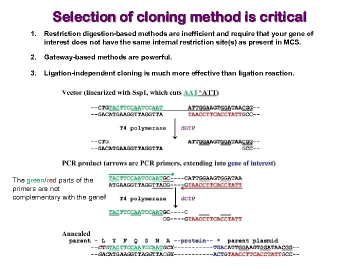 Selection of cloning method is critical 1. Restriction digestion-based methods are inefficient and require