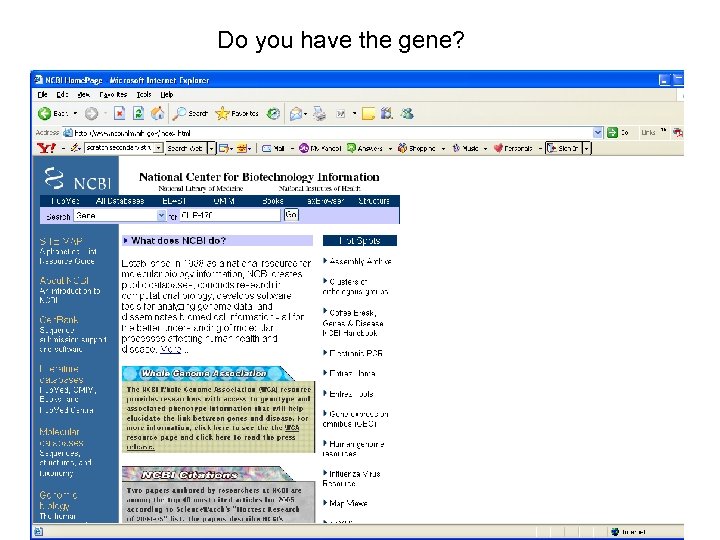 Do you have the gene? 