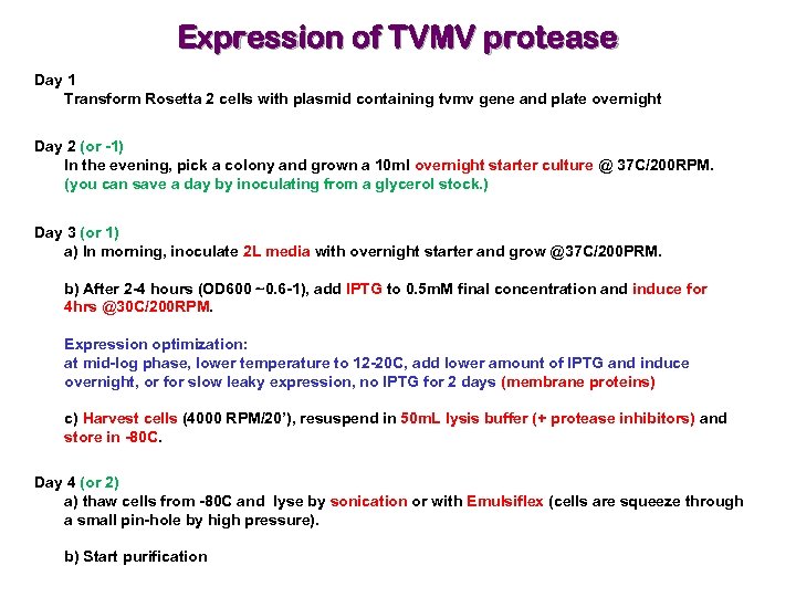 Expression of TVMV protease Day 1 Transform Rosetta 2 cells with plasmid containing tvmv