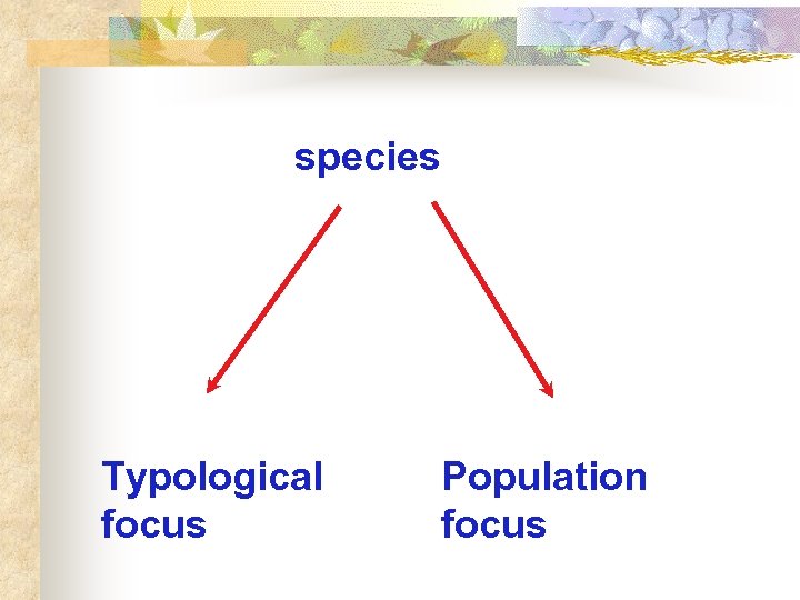 species Typological focus Population focus 