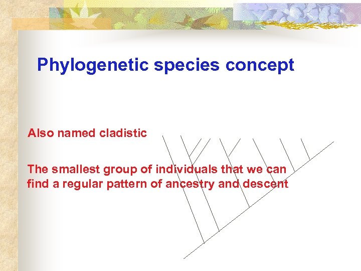 Phylogenetic species concept Also named cladistic The smallest group of individuals that we can