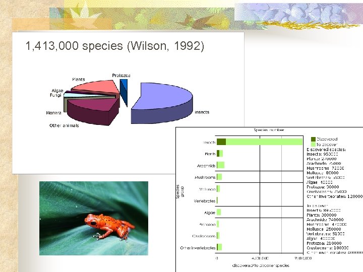 1, 413, 000 species (Wilson, 1992) 