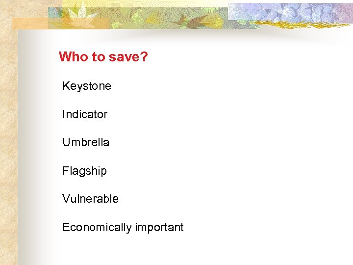Who to save? Keystone Indicator Umbrella Flagship Vulnerable Economically important 