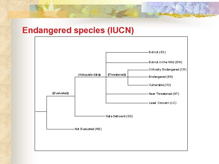 Endangered species (IUCN) 