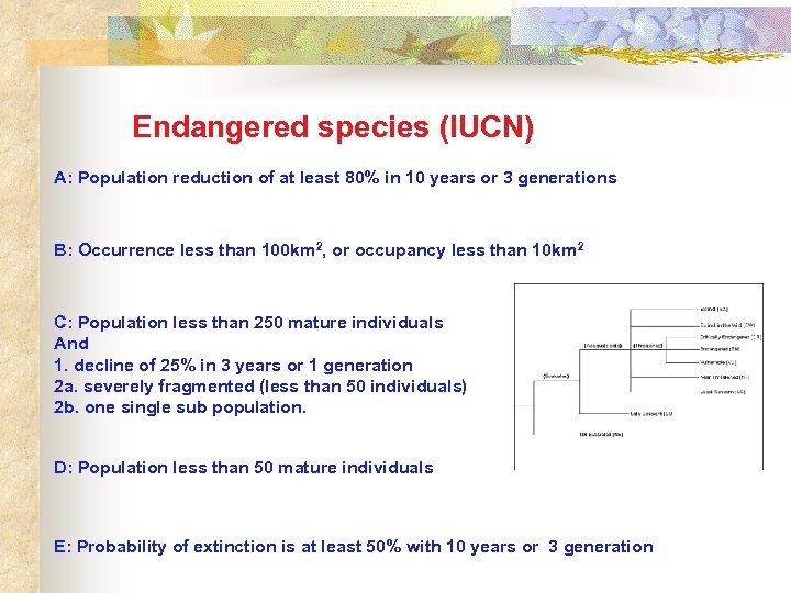 Endangered species (IUCN) A: Population reduction of at least 80% in 10 years or