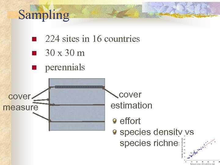 Sampling n n n cover measure 224 sites in 16 countries 30 x 30