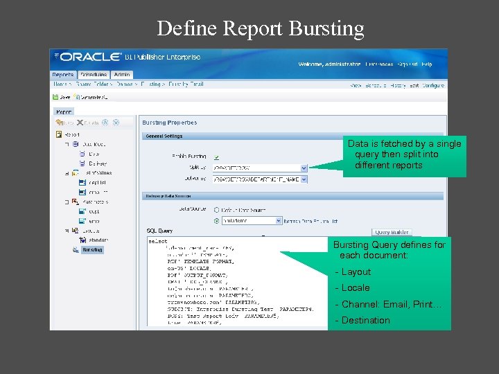 Define Report Bursting Data is fetched by a single query then split into different