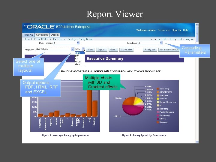 Report Viewer Cascading Parameters Select one of multiple layouts Output options: PDF, HTML, RTF