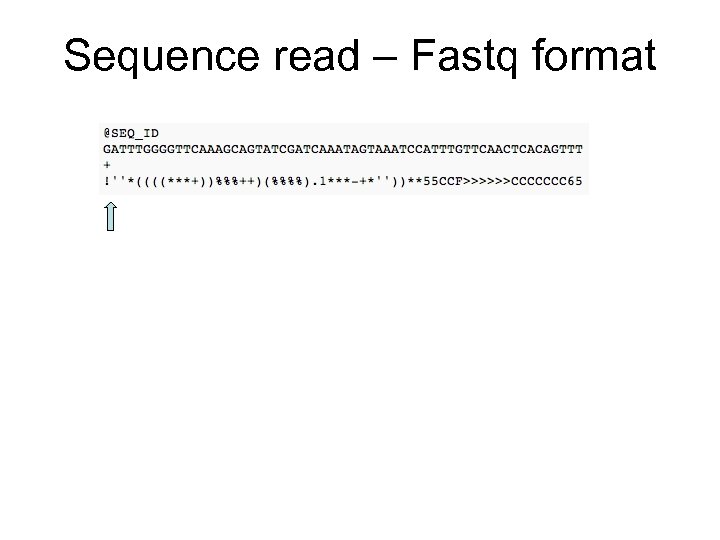 Sequence read – Fastq format 