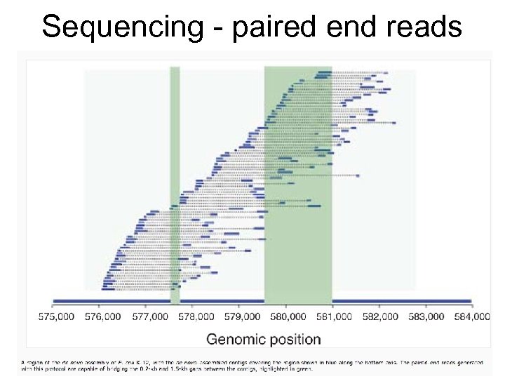 Sequencing - paired end reads 