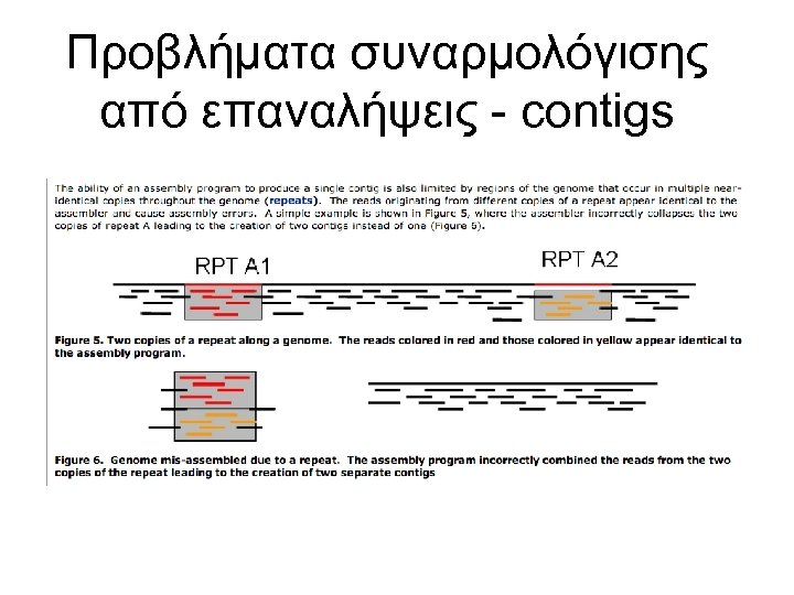 Προβλήματα συναρμολόγισης από επαναλήψεις - contigs 