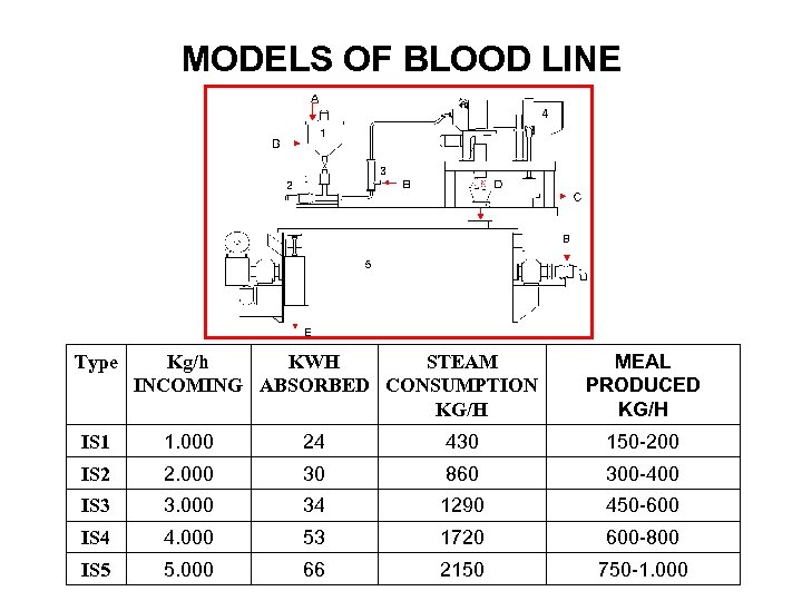 MODELS OF BLOOD LINE Type Kg/h KWH STEAM INCOMING ABSORBED CONSUMPTION KG/H MEAL PRODUCED