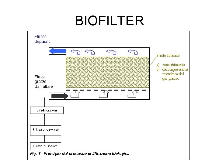 BIOFILTER 