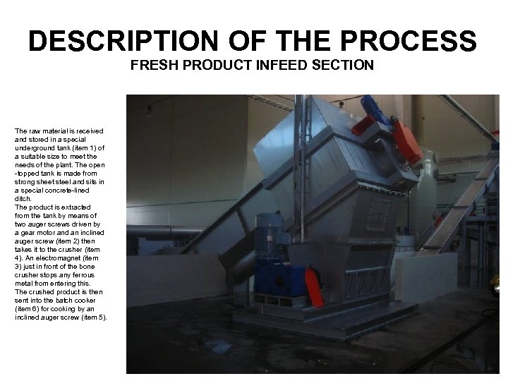 DESCRIPTION OF THE PROCESS FRESH PRODUCT INFEED SECTION The raw material is received and