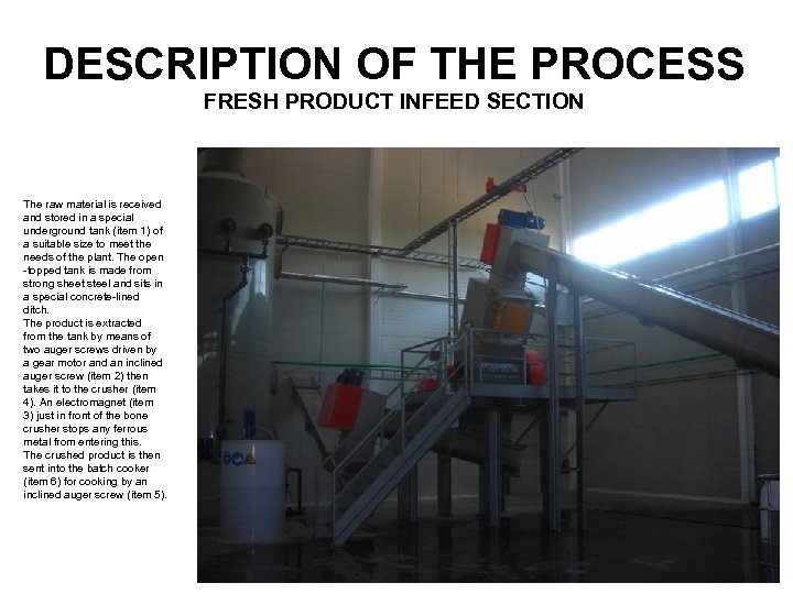 DESCRIPTION OF THE PROCESS FRESH PRODUCT INFEED SECTION The raw material is received and