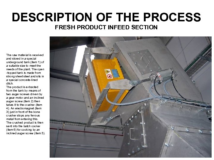 DESCRIPTION OF THE PROCESS FRESH PRODUCT INFEED SECTION The raw material is received and