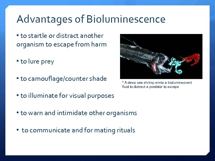 Advantages of Bioluminescence • to startle or distract another organism to escape from harm